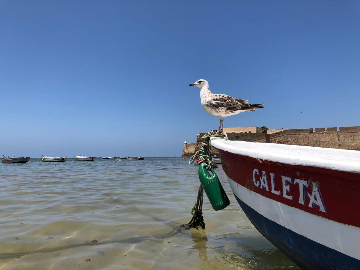 Planeta Cádiz Apartaments Kültér fotó